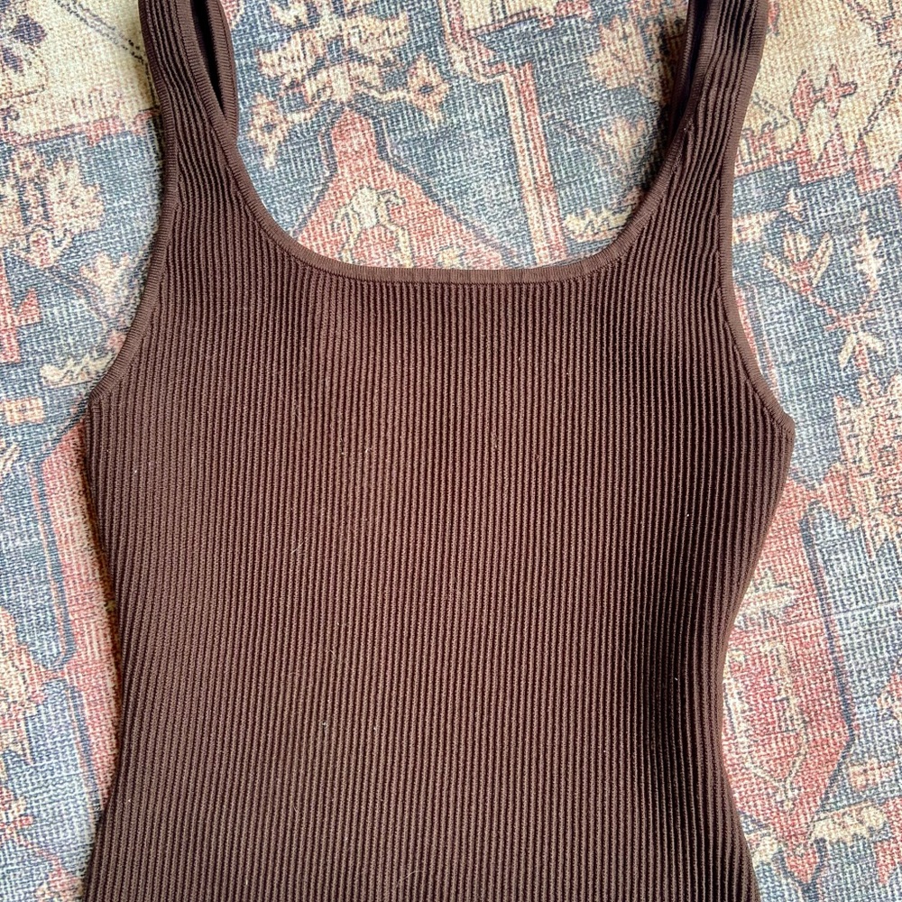Aritzia Babaton Brown Sculp Knit Tank Top